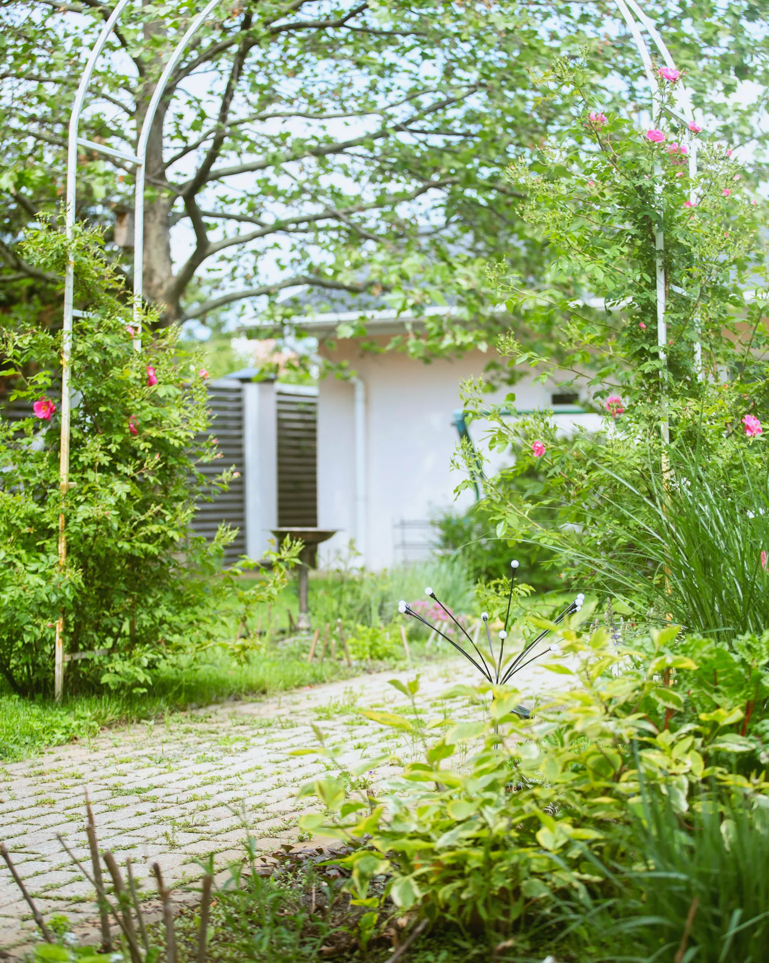 A white garden arch over a brick path