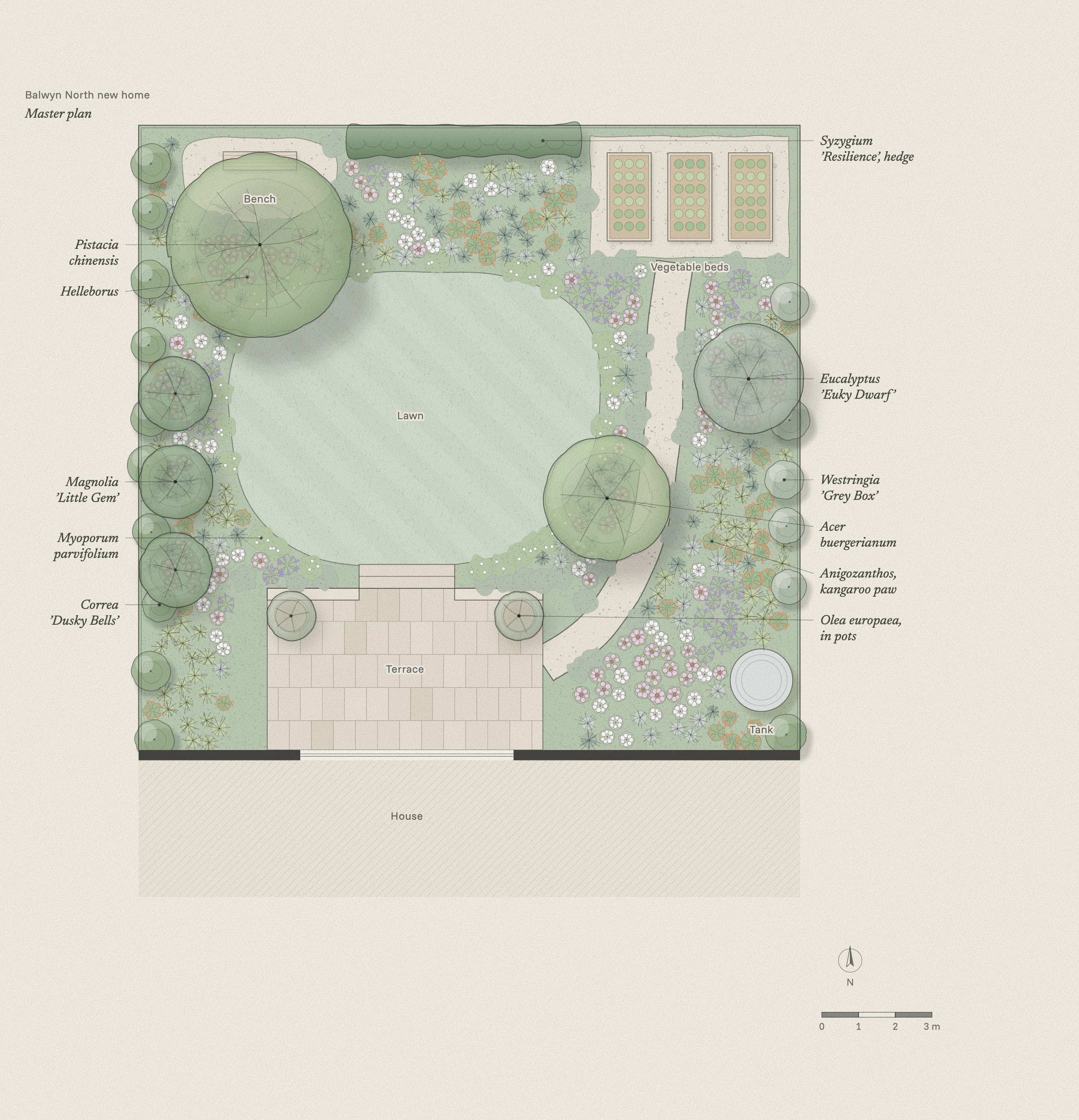 Master plan of the Balwyn North new home garden: a paved terrace off the house with steps down to a curved lawn, a gravel path to three vegetable beds, a bench under a shade tree, a hedge on the back fence and deep planting along every fence.