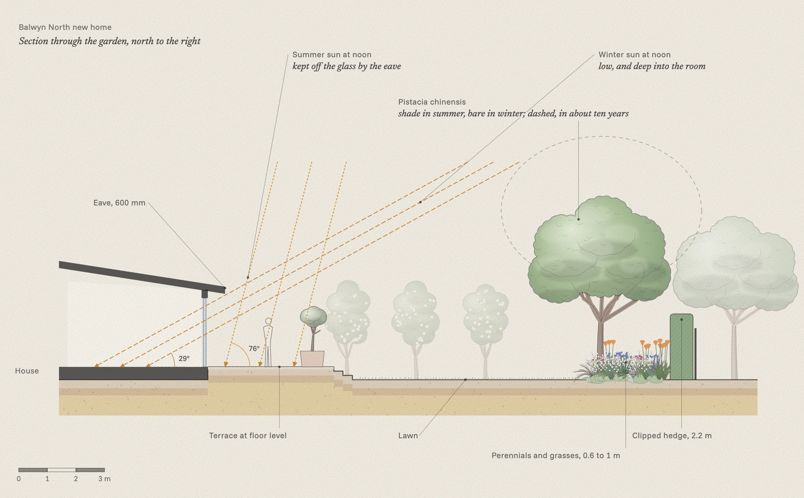 Long section through the new home garden from the living room to the back fence: low winter sun reaching deep into the room under a 600 mm eave, high summer sun kept off the glass, a terrace, lawn, planting, a hedge and a shade tree that is bare in winter.