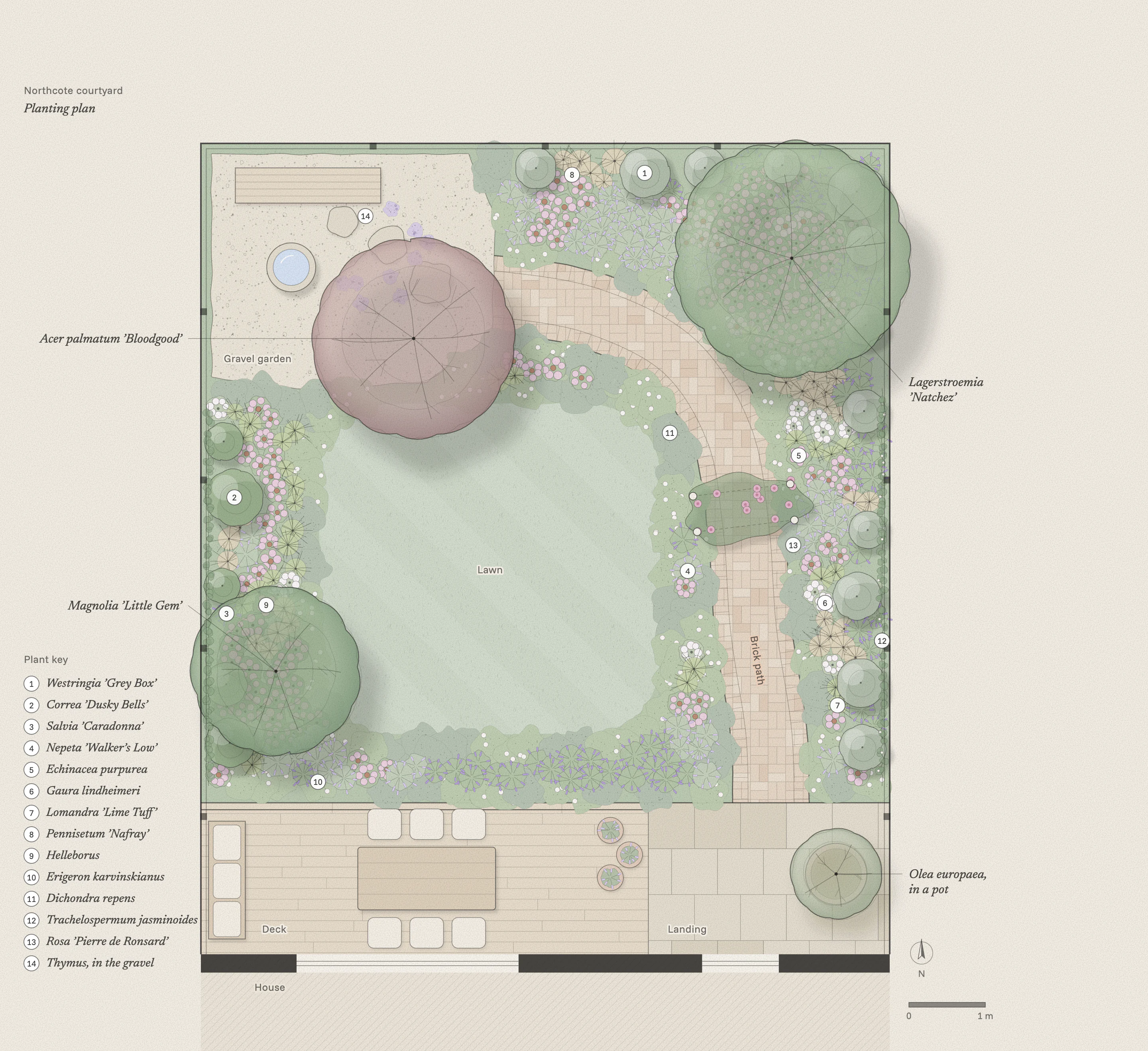 Planting plan of the Northcote courtyard: a deck and a paved landing by the house, a lawn in the middle, a brick path under a rose arch to a gravel garden with a bird bath and a bench, and beds of shrubs, perennials and grasses along the fences under three small trees.