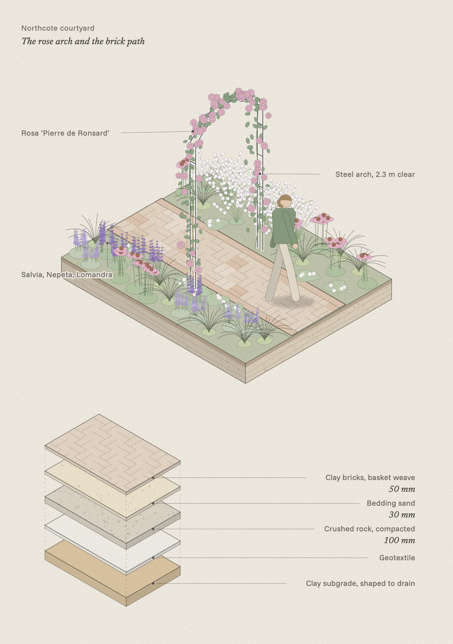 Isometric drawing of the rose arch over the brick path with planting on both sides, and below it the path drawn apart in layers: bricks in basket weave, bedding sand, compacted crushed rock, geotextile and the clay beneath.