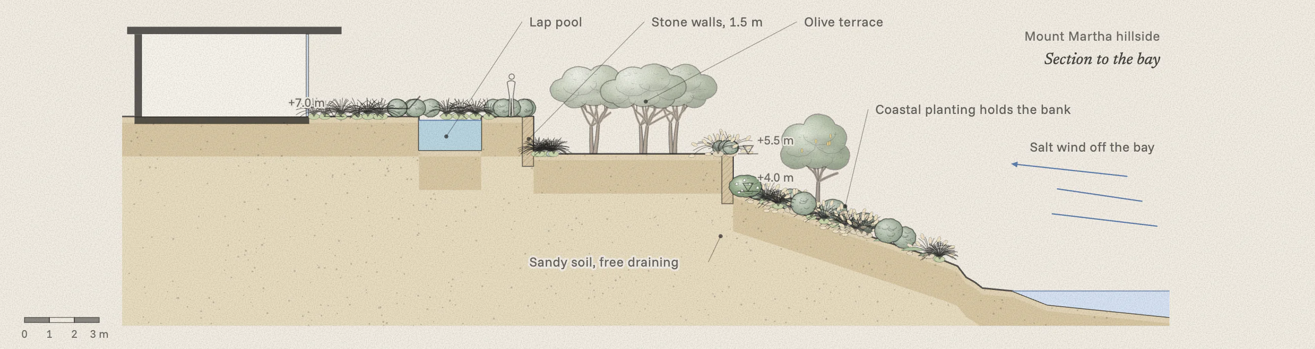 Section from the house down to the bay: the pool terrace at 7 metres, stone walls stepping down to an olive terrace and a planted bank, sandy soil, the cliff and the water, with the salt wind blowing in off the bay.
