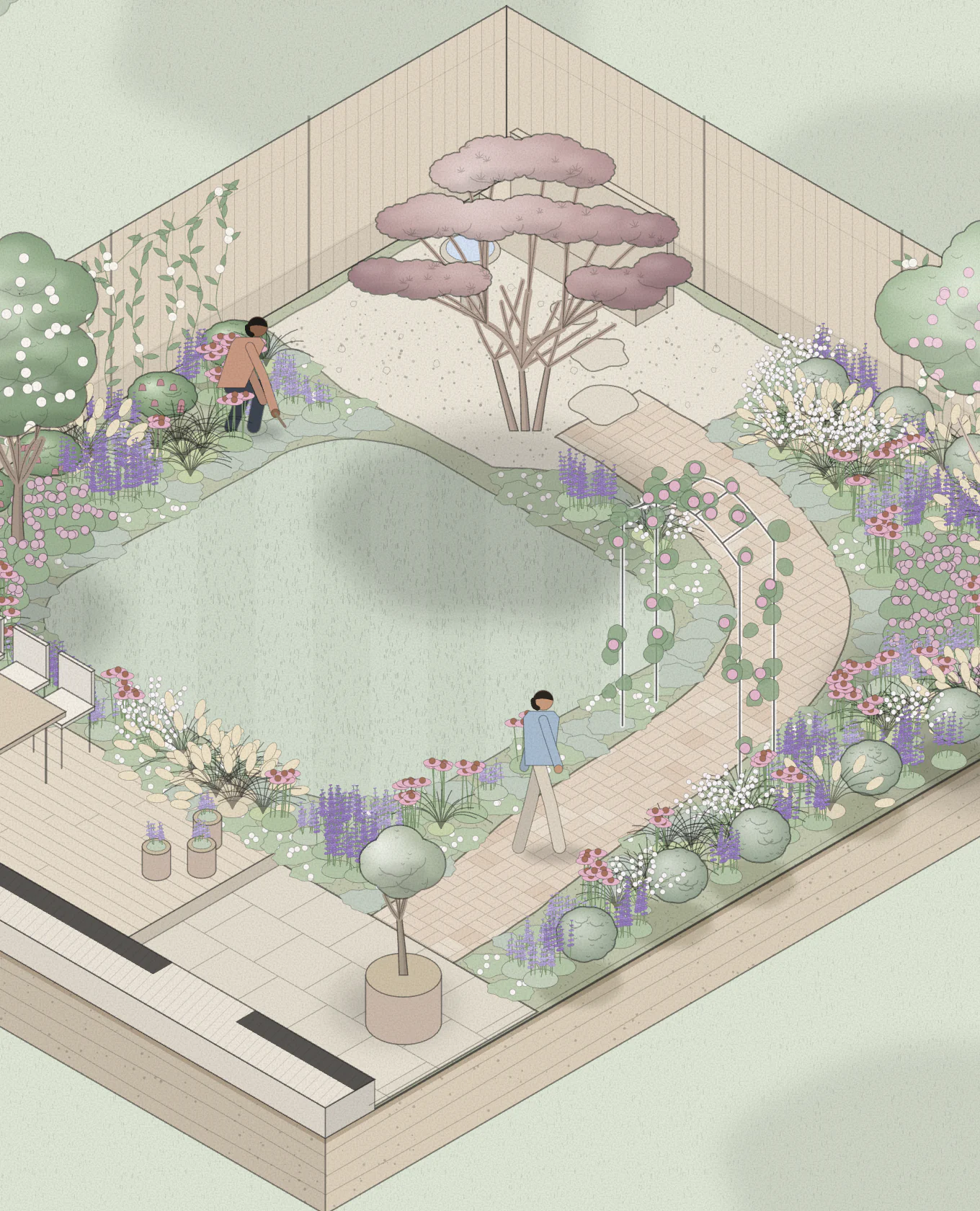 Isometric drawing of the courtyard garden: a lawn, a brick path under a rose arch, a Japanese maple and layered planting along the fences, with someone walking up the path and someone planting.