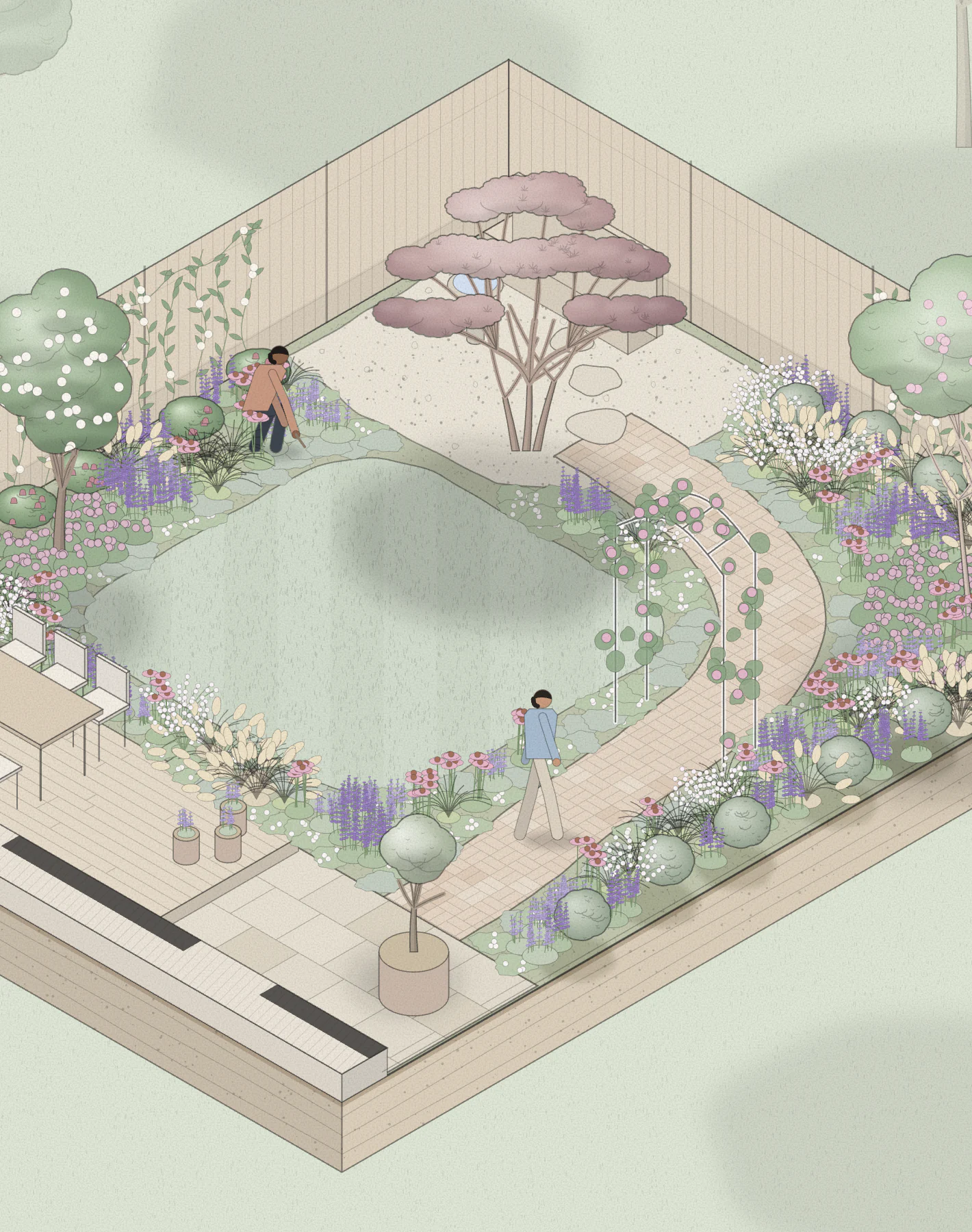 Isometric drawing of the courtyard garden: a lawn, a brick path under a rose arch, a Japanese maple and layered planting along the fences, with someone walking up the path and someone planting.