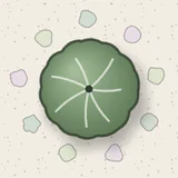 A round planting plan detail: one tree canopy seen from above over pale stone