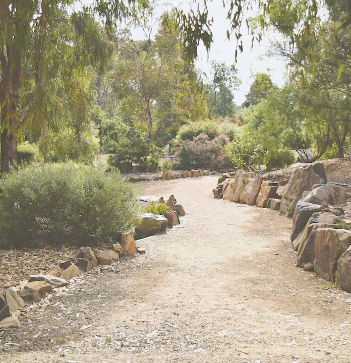 A dry gravel path between rocks, grasses and native shrubs under gum trees
