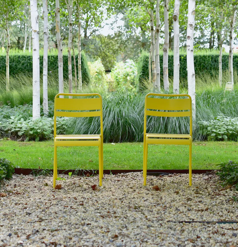Two yellow chairs on gravel among birches and grasses