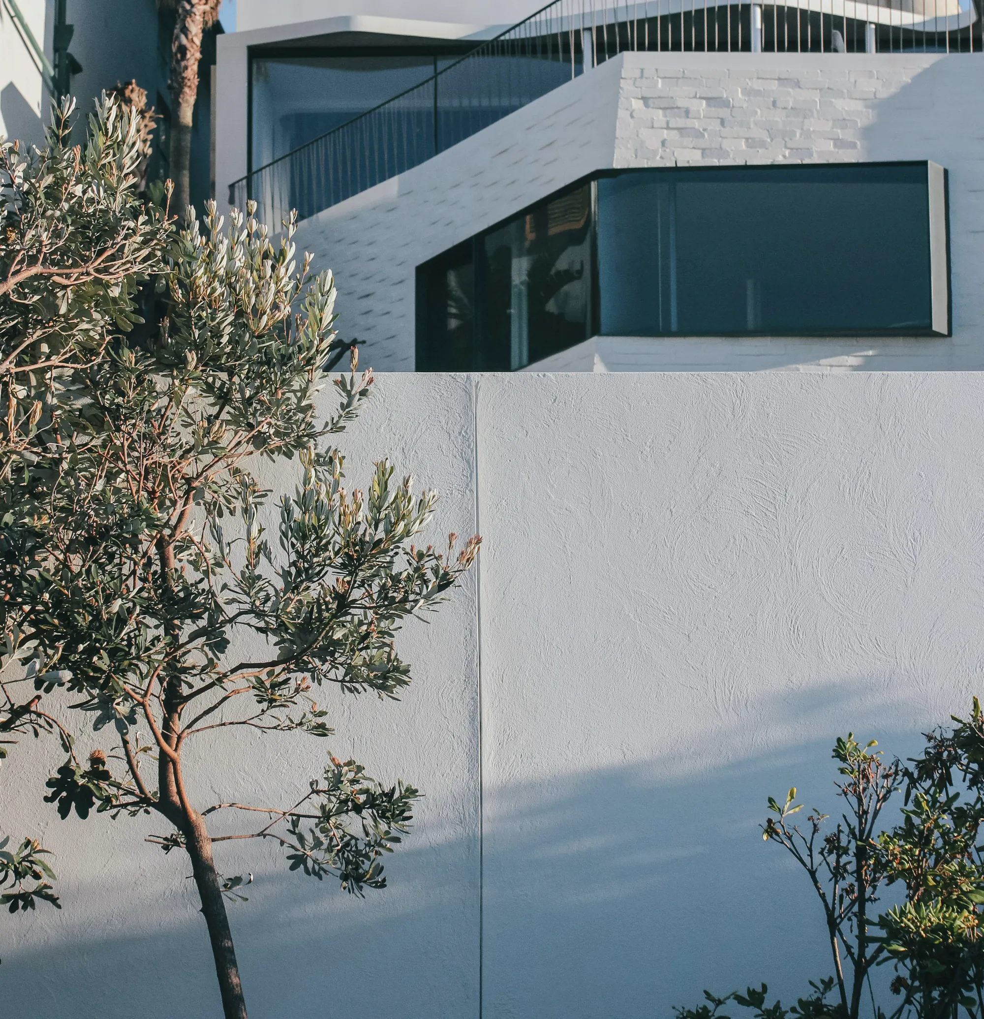 A new white rendered house above its front wall, with a silver leaved tree and a palm in the garden