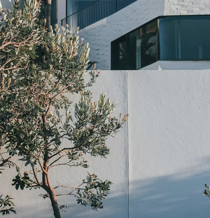 A new white rendered house above its front wall, with a silver leaved tree and a palm in the garden