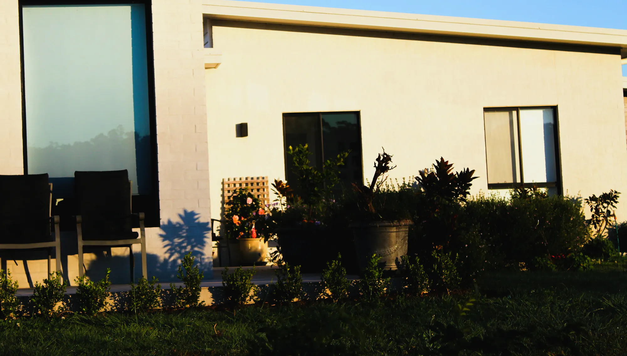 The back of a new rendered house, a young hedge along the terrace, potted shrubs and a new lawn