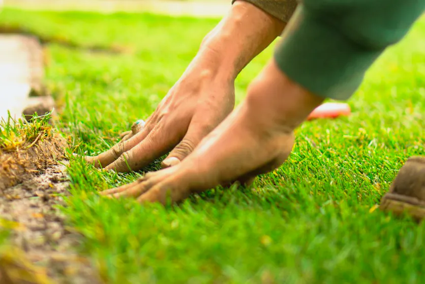 Hands pressing a new roll of turf into place along a garden edge