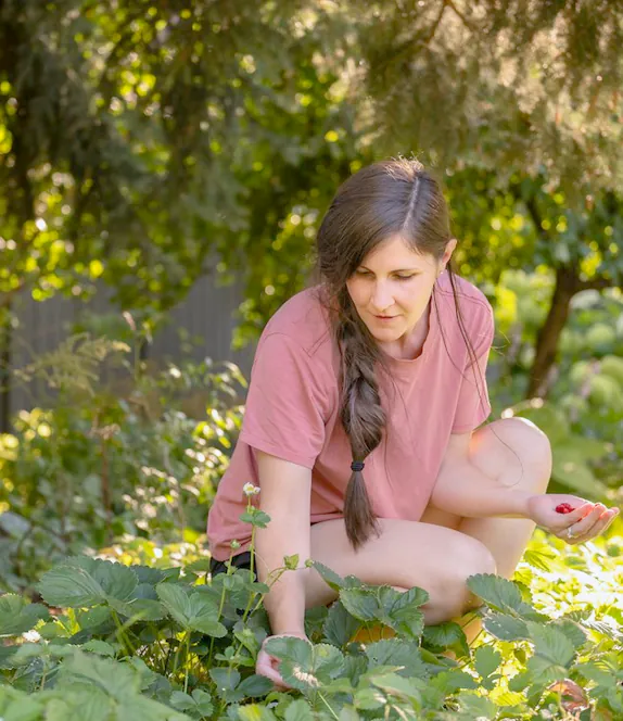 A garden designer crouched under a tree, looking closely at the planting