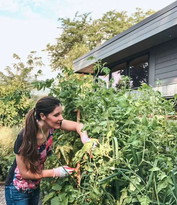 A gardener tending a large shrub beside a house